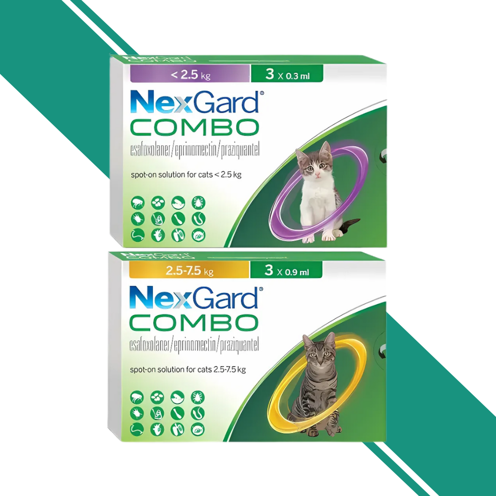 NexGard Combo Spot-On for Cats Pack of 3